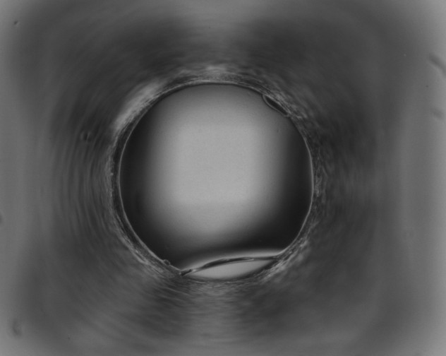 X0000097750341200803071253