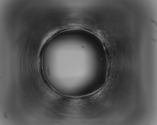 X0000097750342200803071253