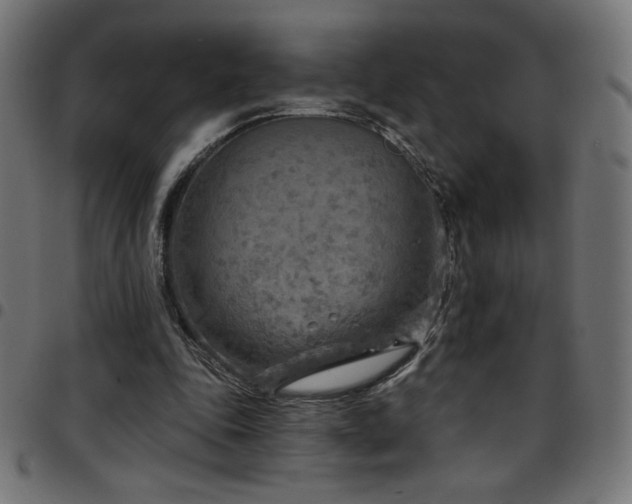 X0000097750343200803071253