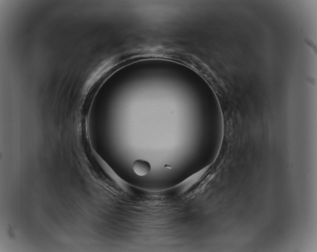 X0000097750344200803071253