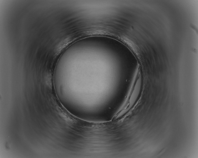 X0000097750345200803071253