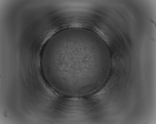 X0000097750347200803071253