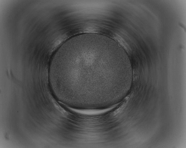 X0000097750349200803071253