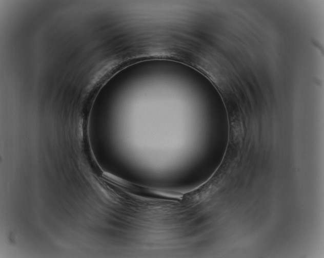 X0000097750350200803071253