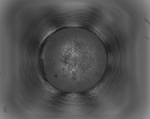 X0000097750351200803071253