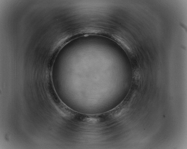 X0000097750352200803071253