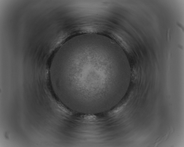 X0000097750355200803071253