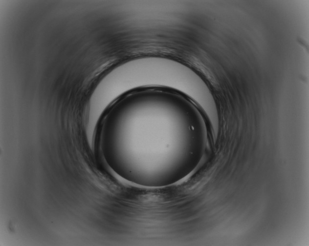 X0000097750356200803071253