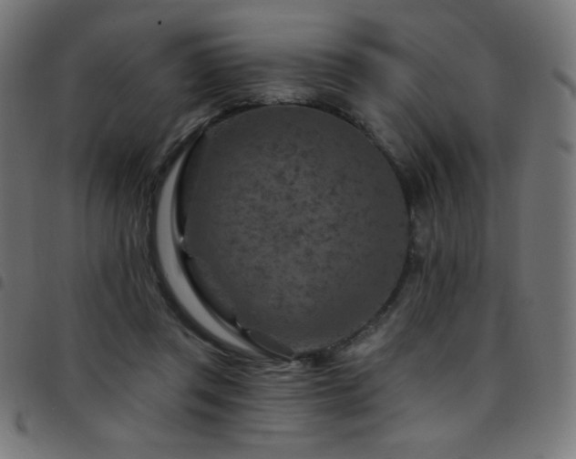 X0000097750357200803071253