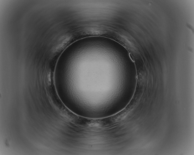 X0000097750358200803071253