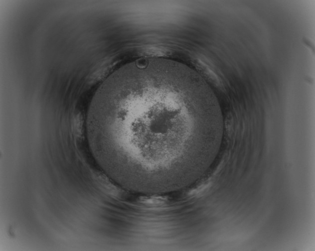 X0000097750359200803071253