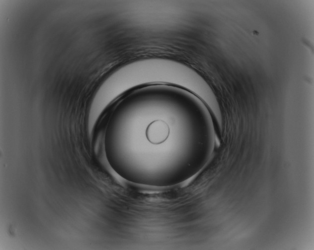 X0000097750360200803071253