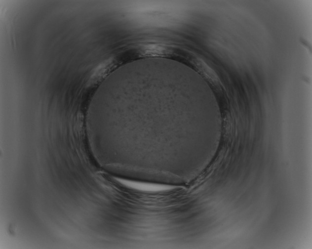 X0000097750361200803071254