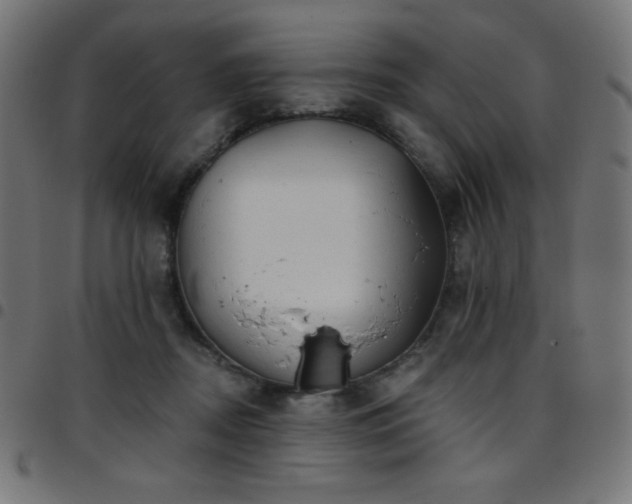 X0000097750362200803071254