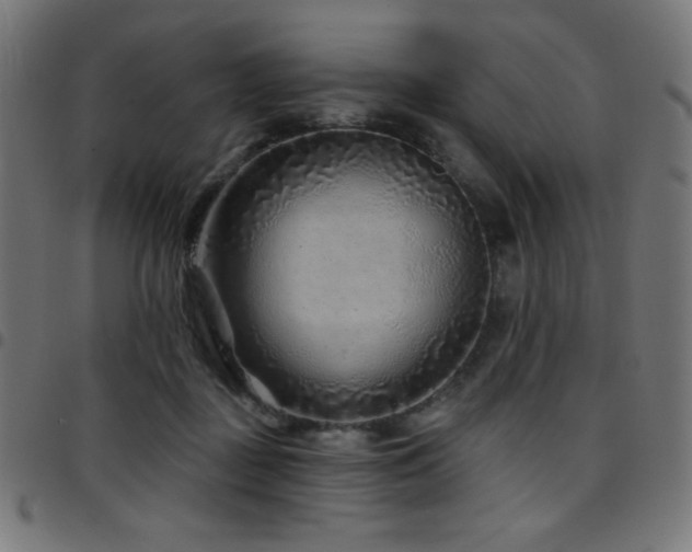 X0000097750363200803071254