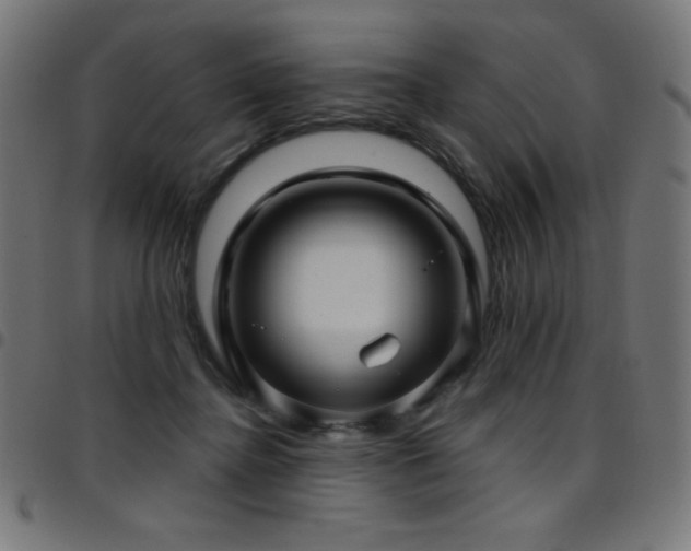 X0000097750364200803071254