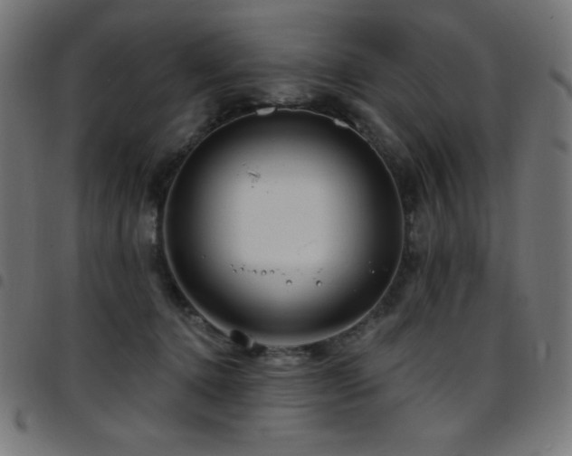 X0000097750368200803071254