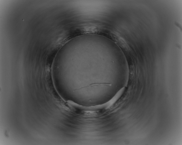 X0000097750369200803071254