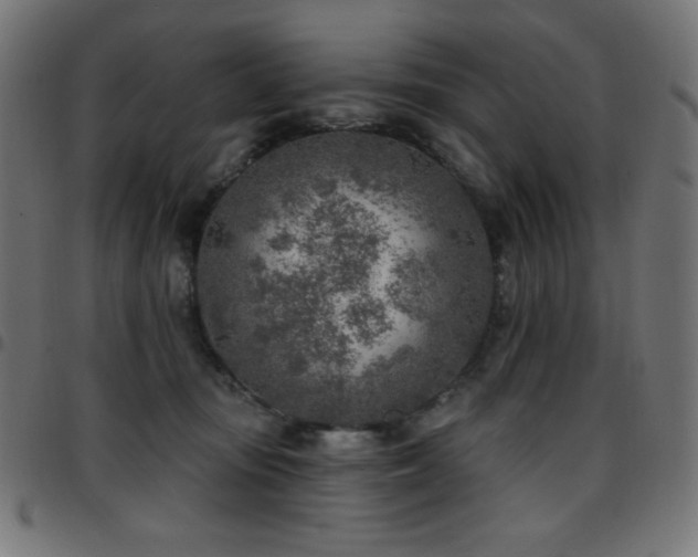 X0000097750371200803071254
