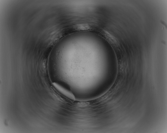 X0000097750373200803071254