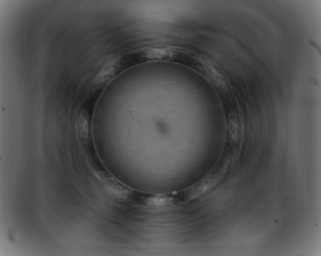 X0000097750375200803071254