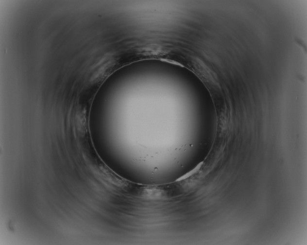 X0000097750376200803071254