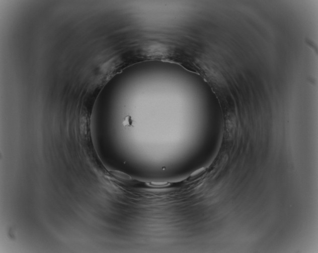 X0000097750379200803071254