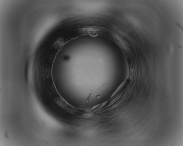 X0000097750381200803071254