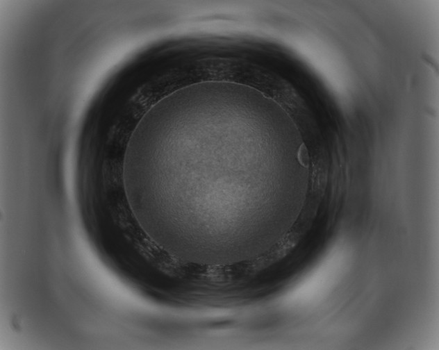 X0000097750383200803071254