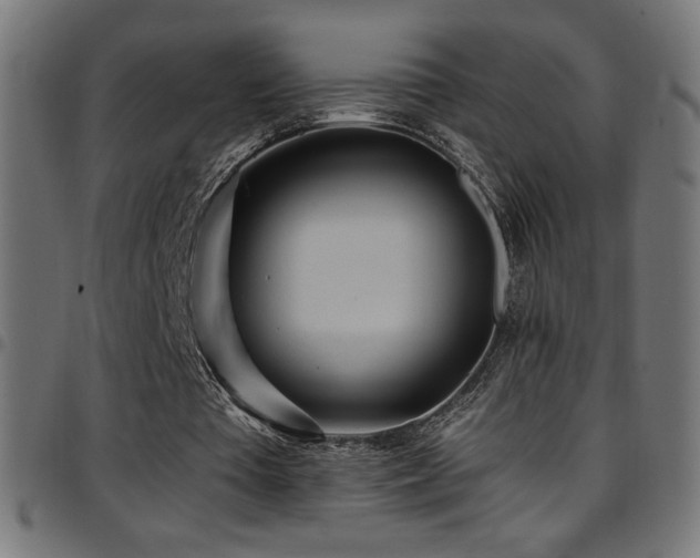 X0000097750385200803071253