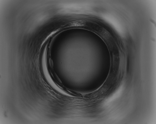 X0000097750387200803071253