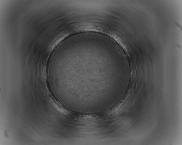 X0000097750390200803071253