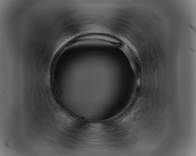 X0000097750391200803071253