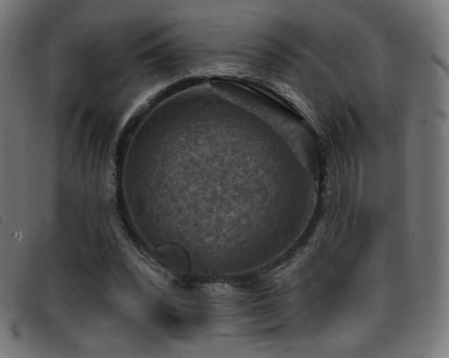 X0000097750392200803071253