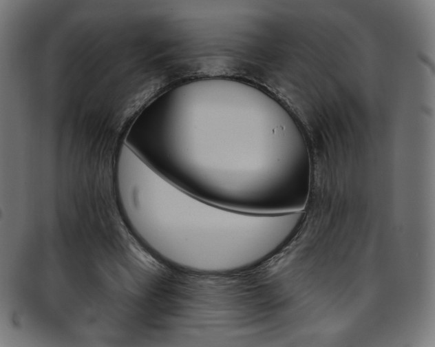 X0000097750393200803071253