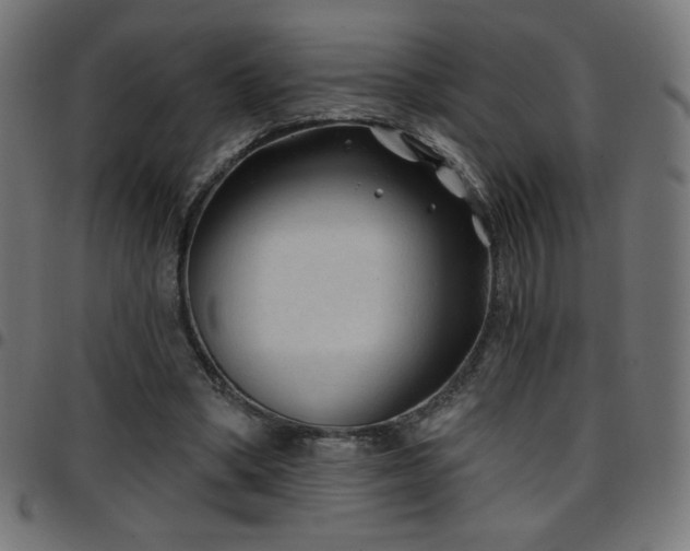 X0000097750394200803071253