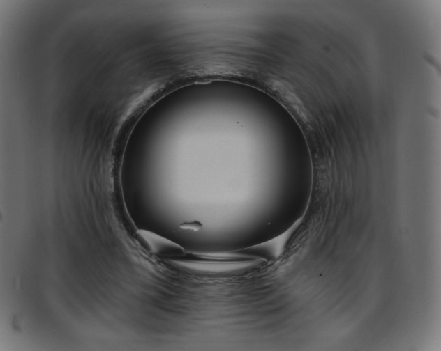 X0000097750395200803071253