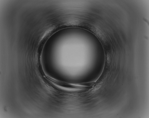 X0000097750396200803071253