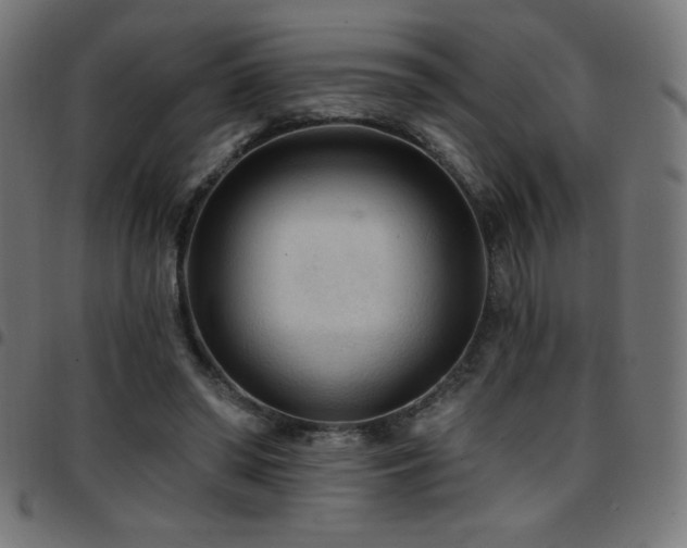 X0000097750398200803071253