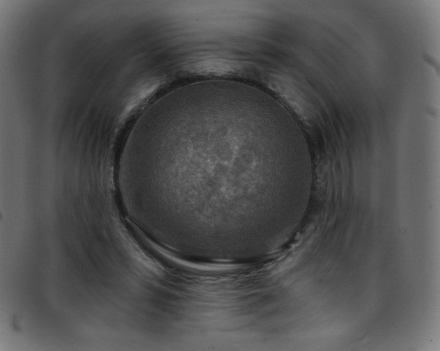 X0000097750399200803071253