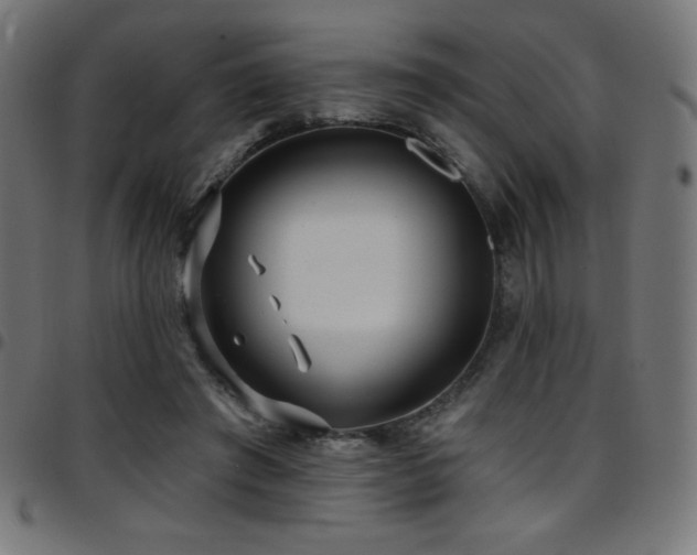X0000097750401200803071253