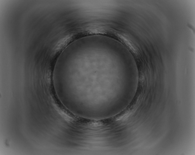X0000097750402200803071253