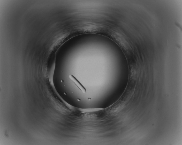 X0000097750403200803071253