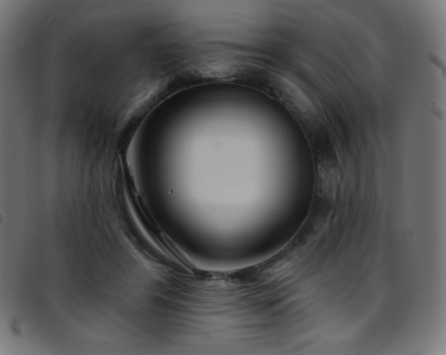X0000097750404200803071253