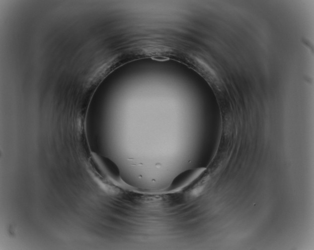 X0000097750405200803071253