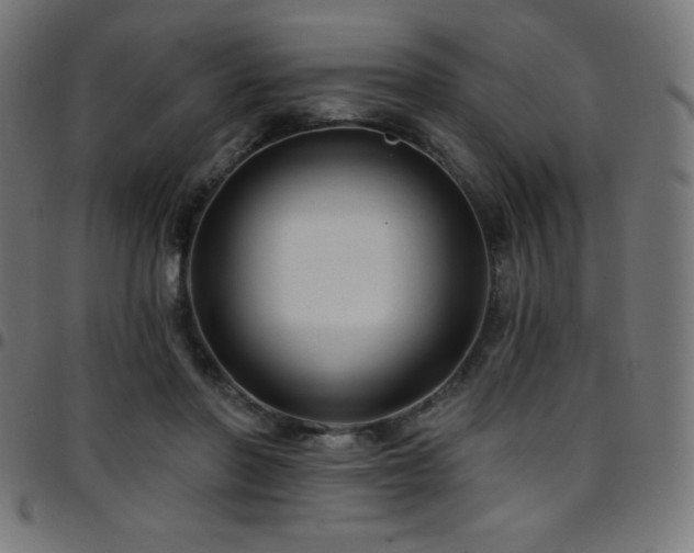 X0000097750406200803071253