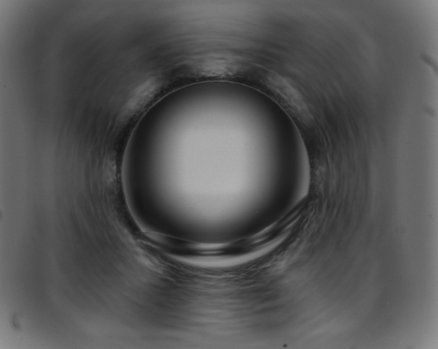 X0000097750407200803071253