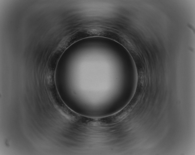 X0000097750408200803071253