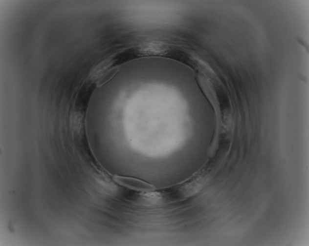 X0000097750409200803071253