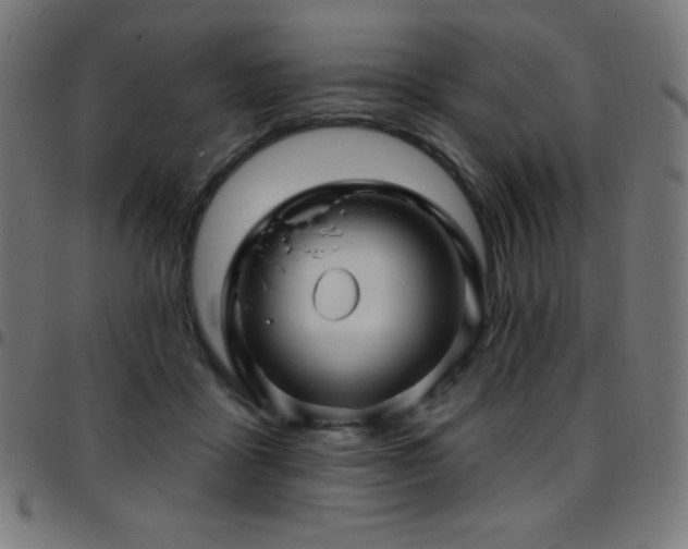 X0000097750411200803071253